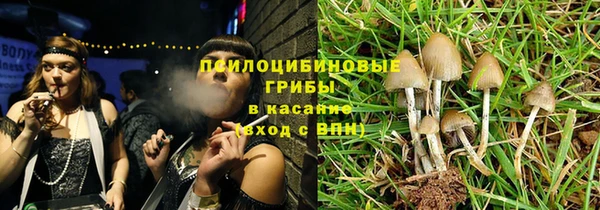 прущие грибы Козельск