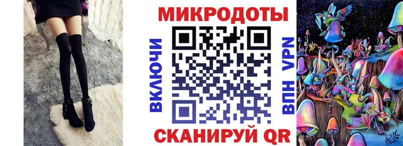 закладка  Шумиха  Псилоцибиновые грибы Psilocybine cubensis 